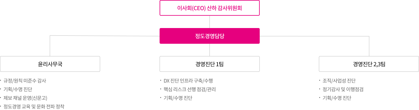 이사회 산하 감사위원회 하위 정도경영담당 : 윤리사무국(규정/원칙 미준수 감사, 기획/수명 진단, 제보 채널 운영(신문고), 정도경영 교육 및 문화 전파 정착), 경영진단 1팀(DX 진단 인프라 구축/수행, 핵심 리스크 선행 점검/관리, 선행 점검/관리), 경영진단 2,3팀(조직/사업성 진단, 정기감사 및 이행점검, 기획/수명 진단)